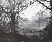 Study of Beeches, Atkinson Grimshaw